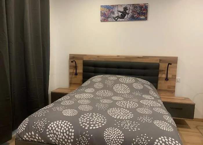 L Inimitable Spacieux Et Lumineux Avec 2 דירה סארבורג